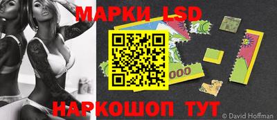 apvp Кингисепп