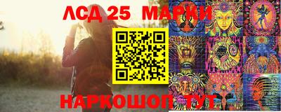 apvp Кингисепп