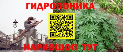 apvp Кингисепп