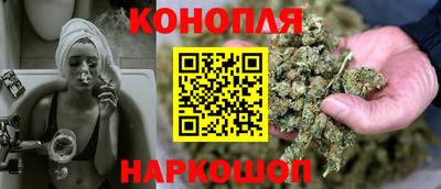 apvp Кингисепп