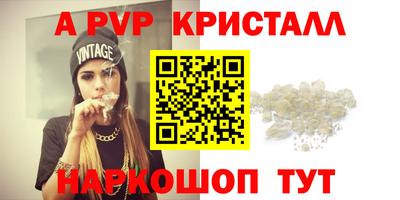 apvp Кингисепп