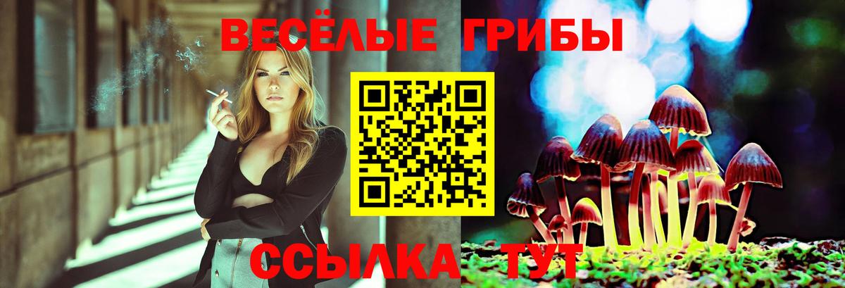 Галлюциногенные грибы Magic Shrooms Лесозаводск