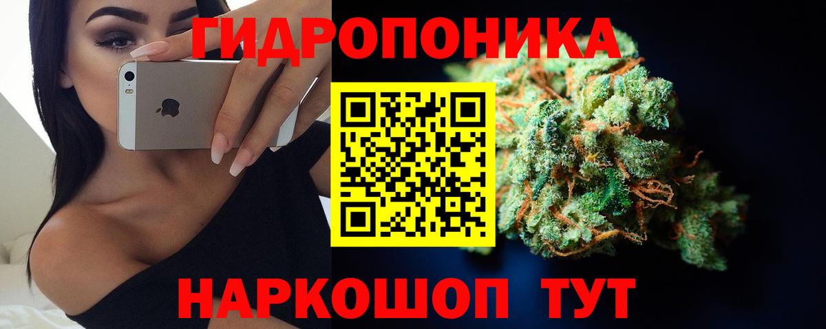 Лесозаводск  Каннабис тримм  Вход с VPN  МАРИХУАНА White Widow  МАРИХУАНА ГИДРОПОН  Бошки марихуана планчик 